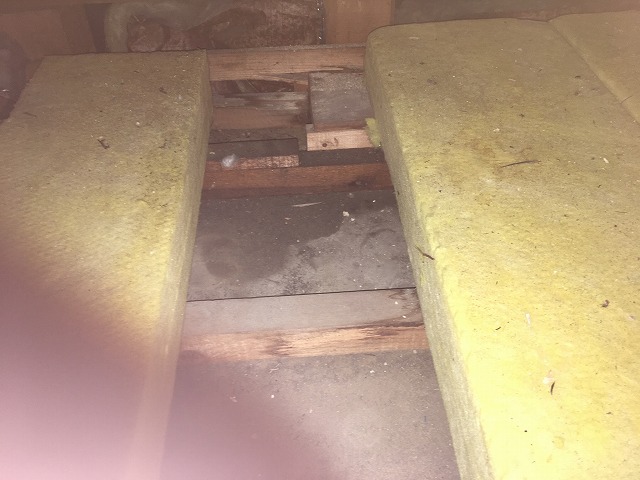 雨漏りした屋根裏